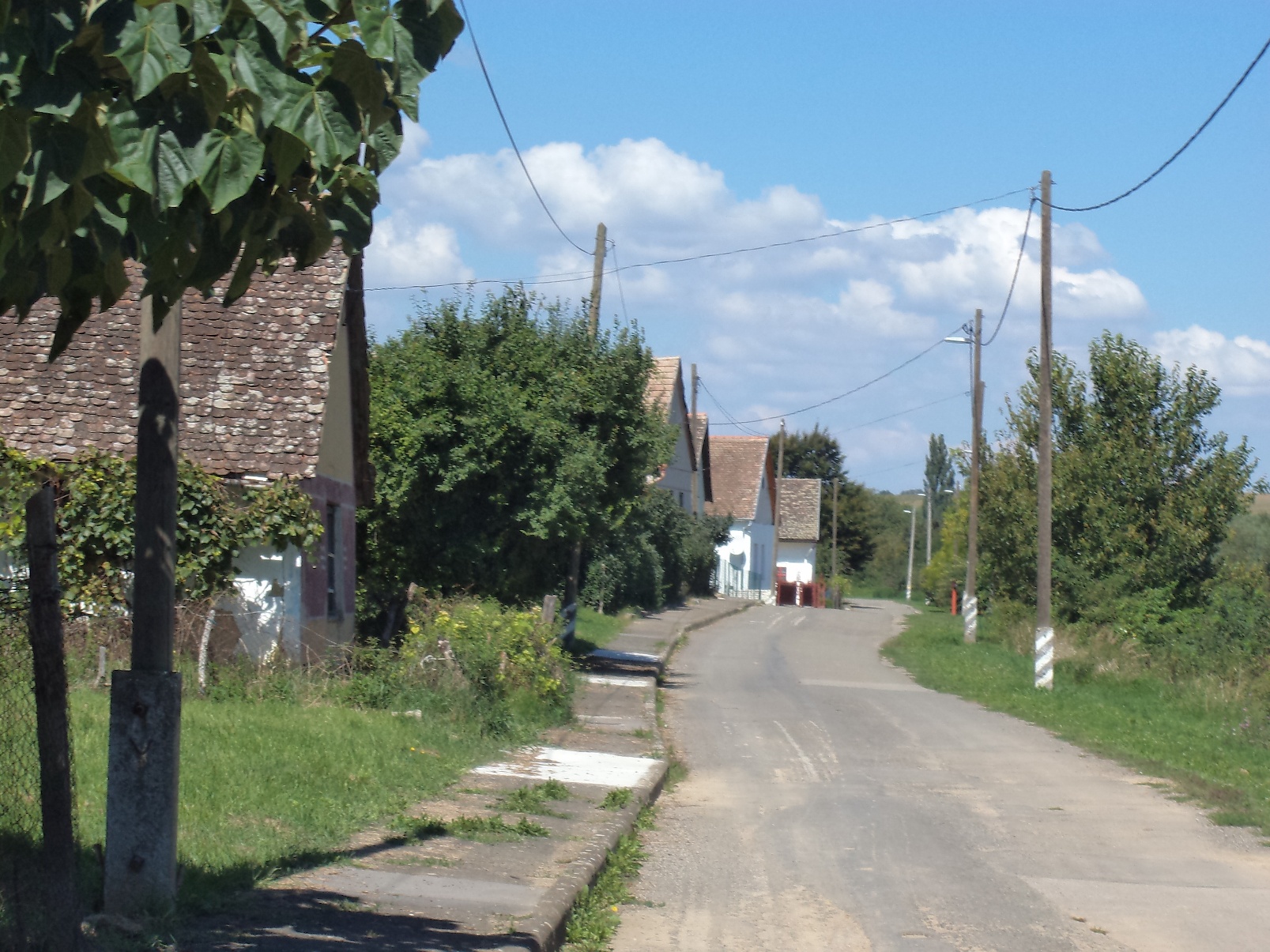 Szárász 20 fő Éledő falvak