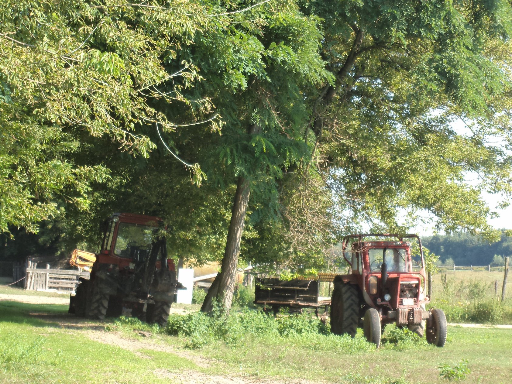 Libickozma 27 fő Éledő falvak